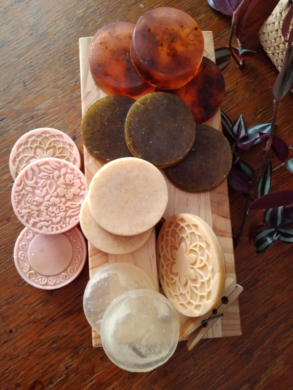 Sábila